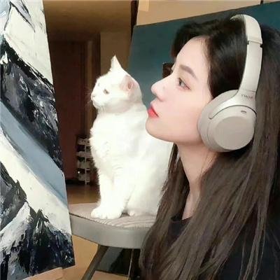 七鹰大厦宝藏
